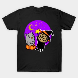 A Witch and their Owl T-Shirt